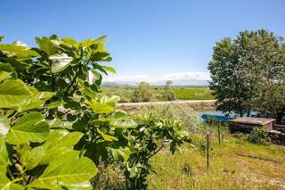 Виллы Luxury House Petrovic Подгорица Вилла с 3 спальнями-78